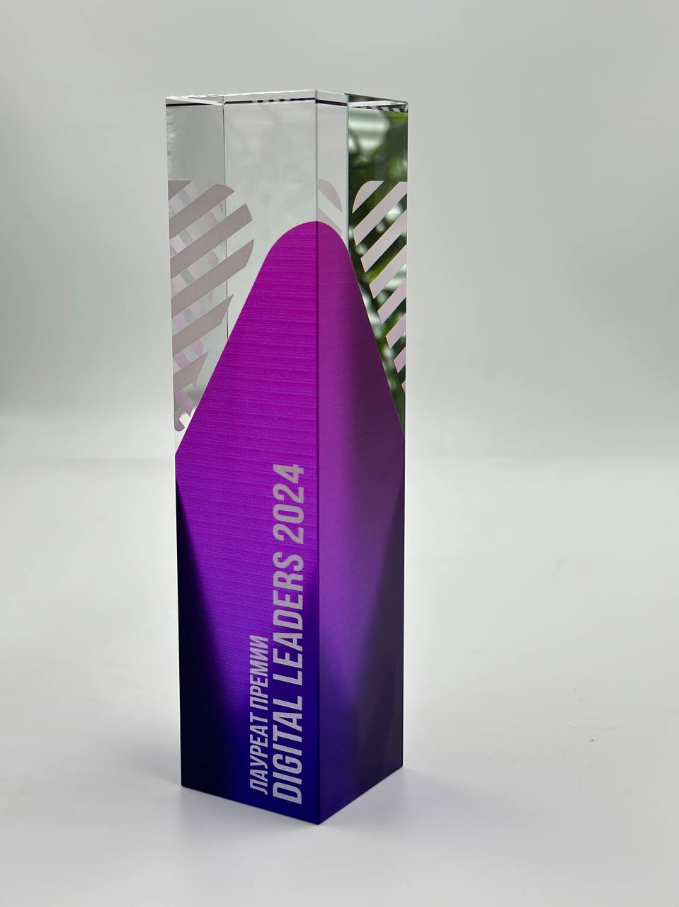 ФПК получила премию Digital Leaders Award